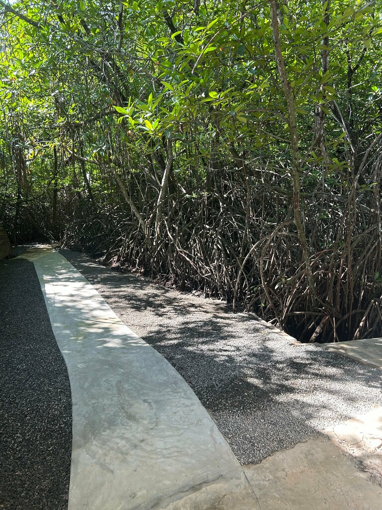 Hotel Voda Hotel and SPA, Southern Province, photo