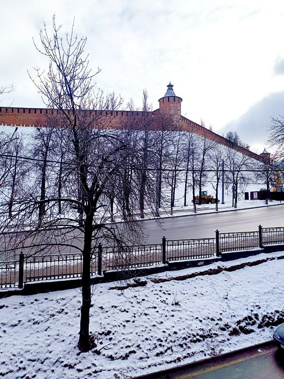 Фото Золотой Клевер