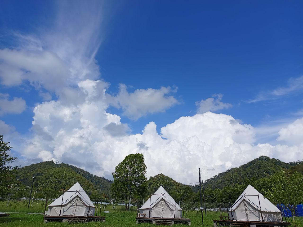 Фото Сад чудес