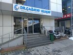 Professor Doctor Cagatay Ulucay (Istanbul, Atasehir, Kucukbakkalkoy Neighborhood, Elmali Street, 6), private practice doctors