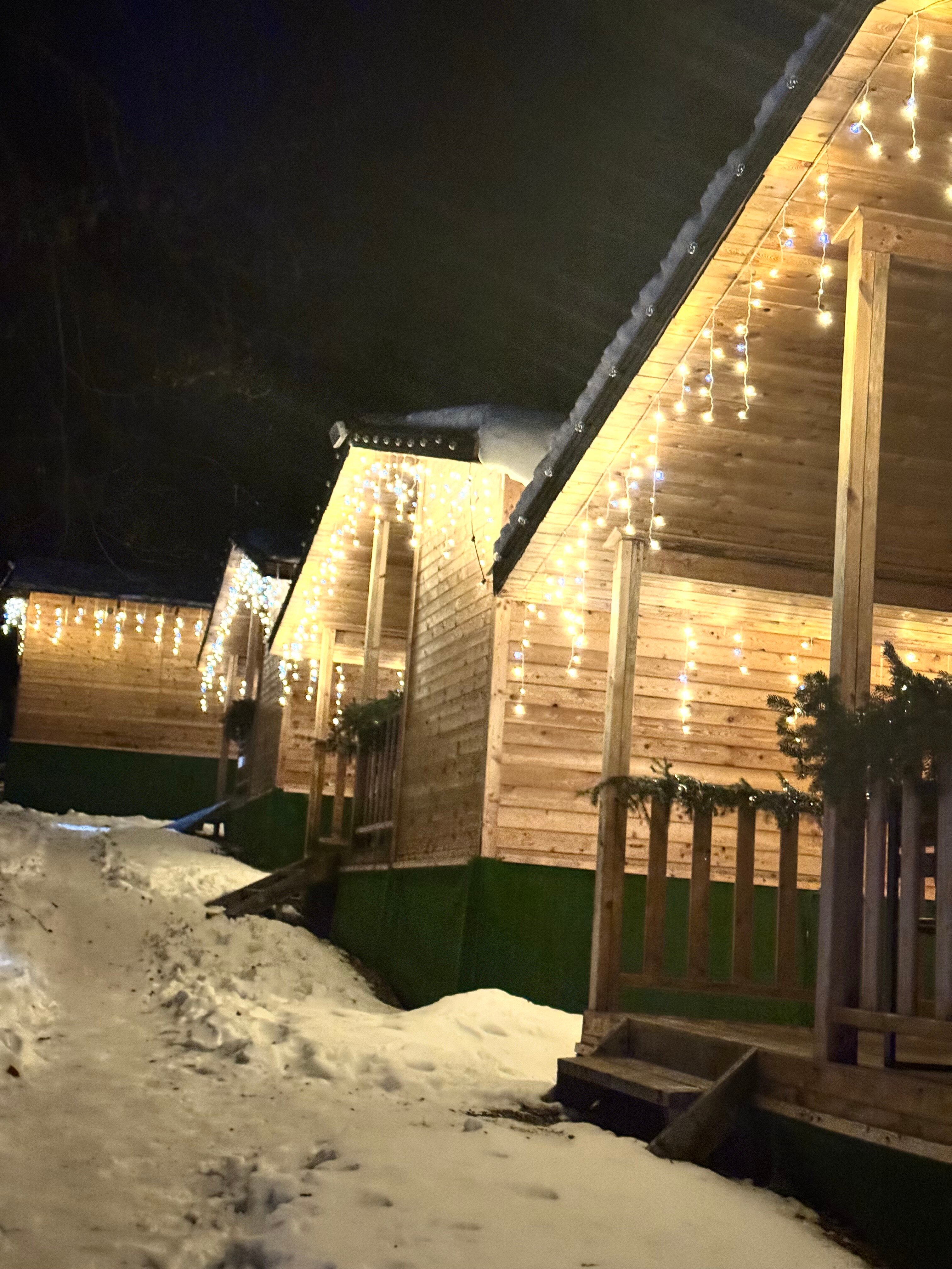 Фото Горная Мята