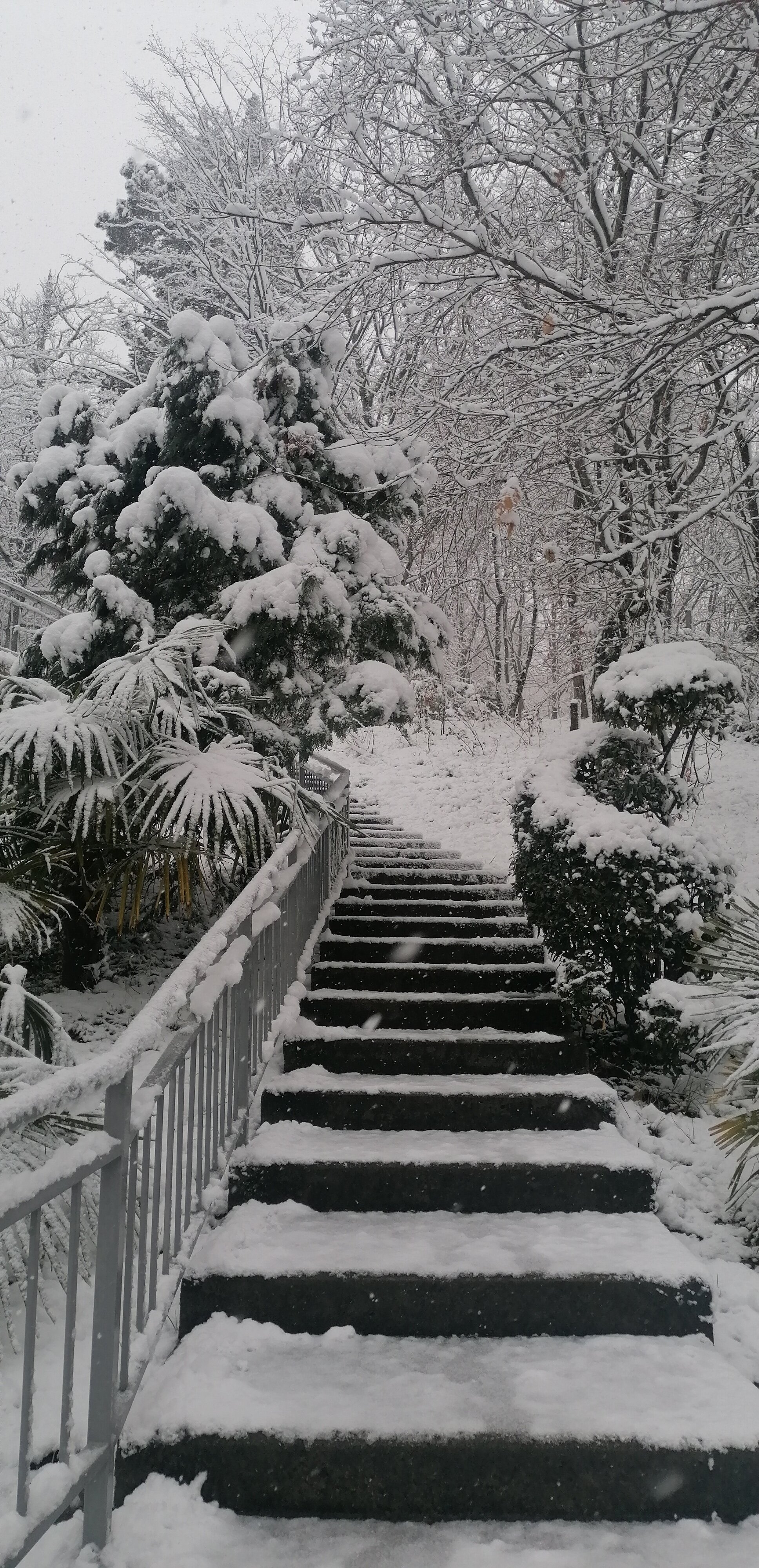 Фото Зелёная роща