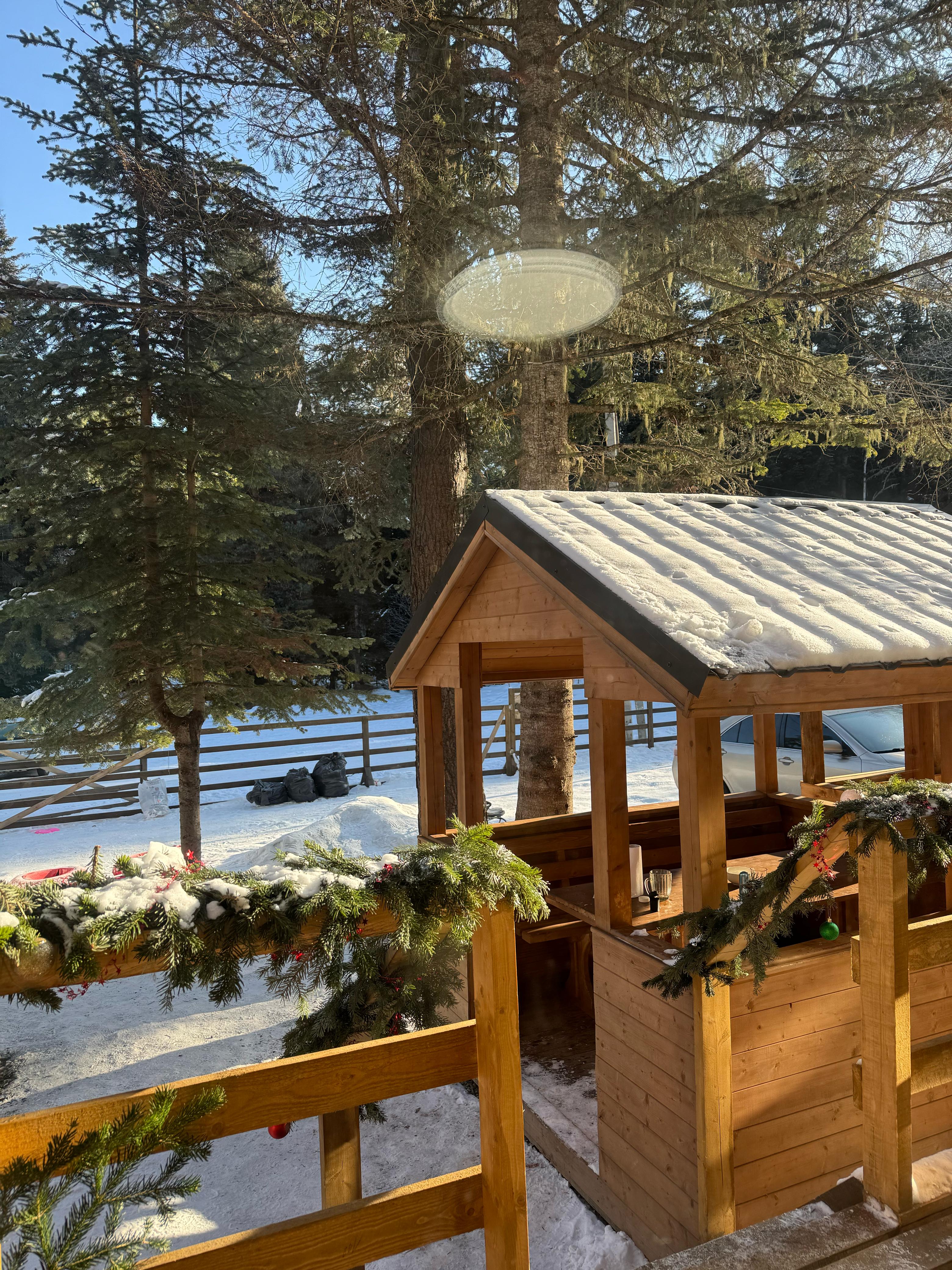 Фото Greenhouse 1599