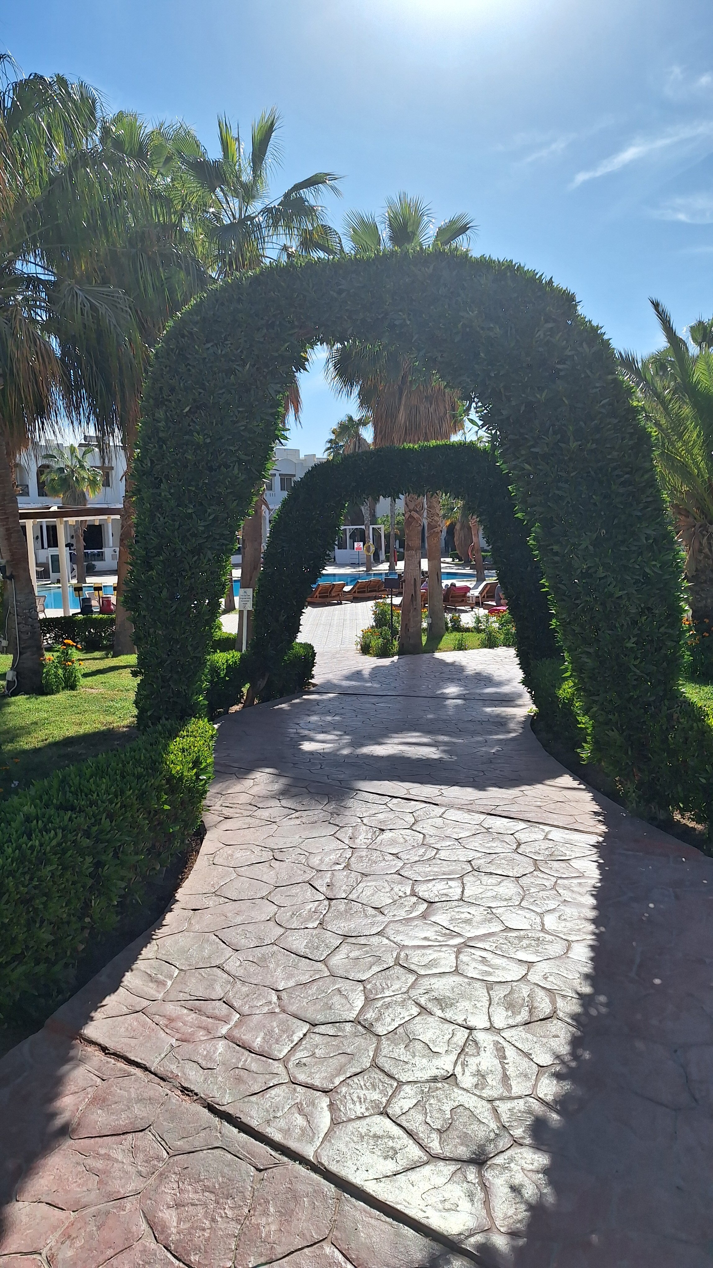 Фото Amphoras Aqua