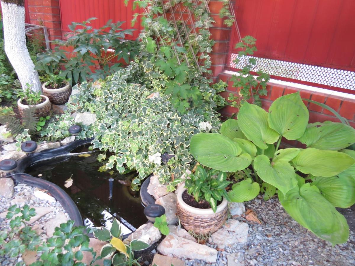 Фото Любимый дом