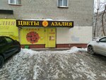 Азалия (Kievskaya Street, 109/1), floristeria