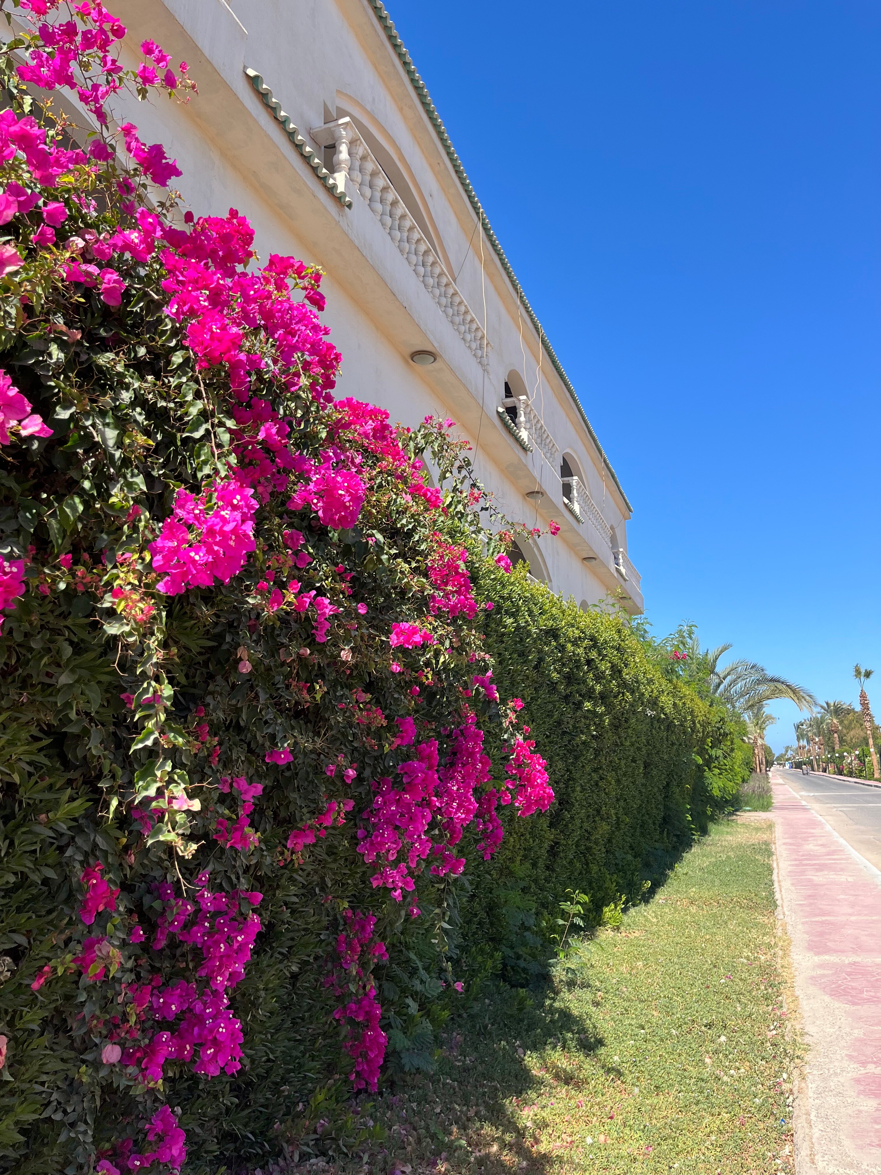 Фото Blend Club Aqua Resort