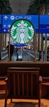 Starbucks (52A, Airport Street, Deira, Dubai), coffee shop