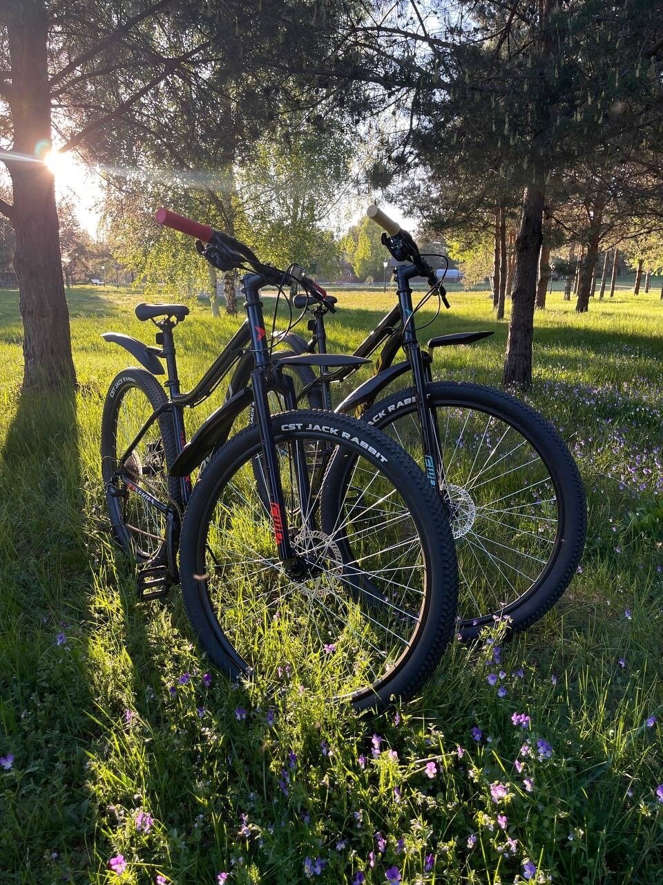 Фото Эко-усадьба Горностай