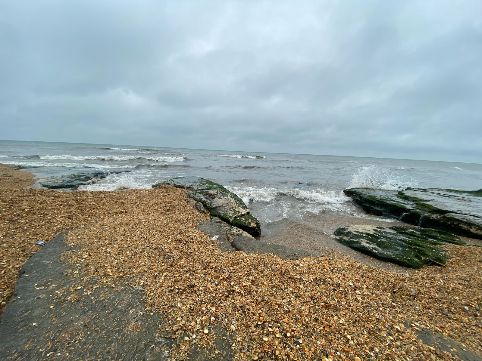 Фото Жемчужина