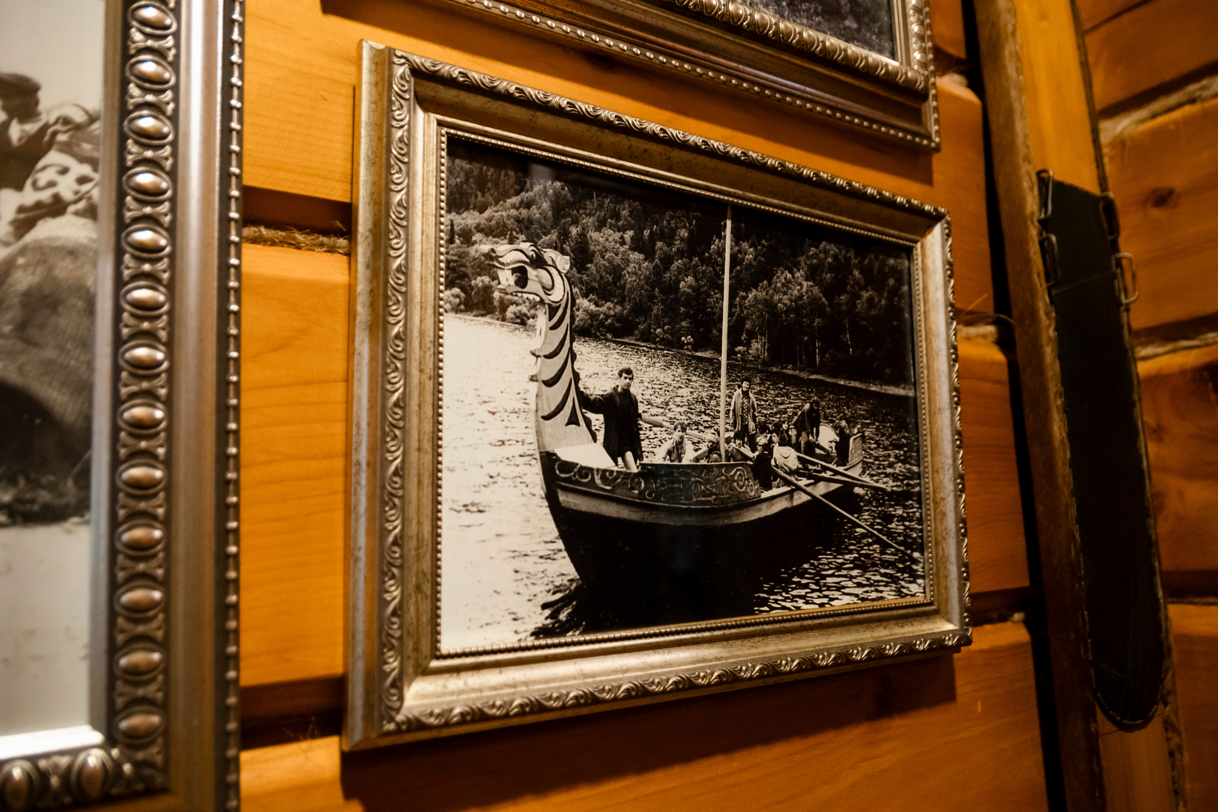 Фото Леонтоподиум