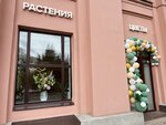 Leaf to Live (Aptekarskiy Avenue, 2), flower shop