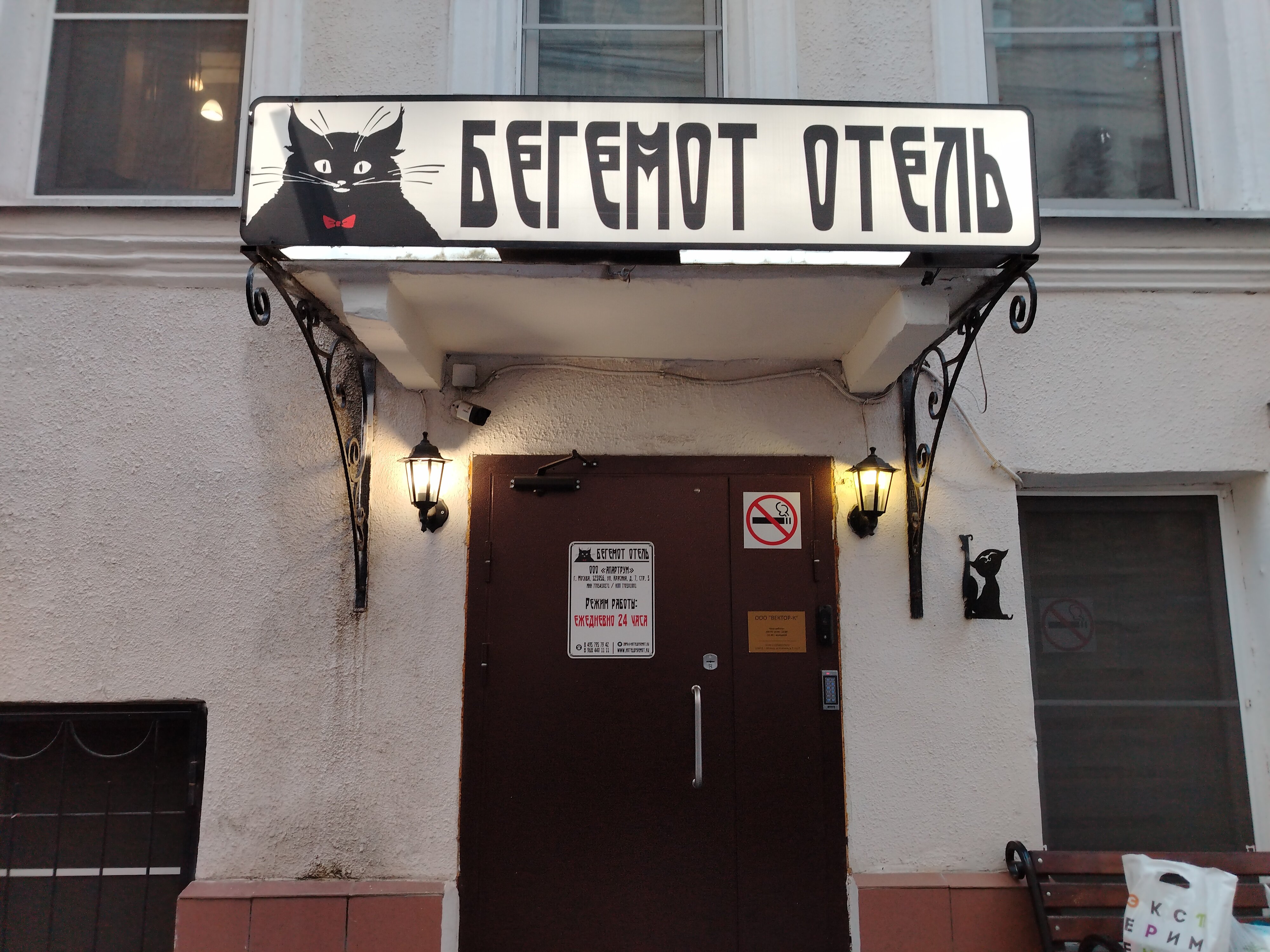 Фото Бегемот