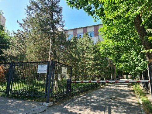 Анам кішкентай сиқырды сорды