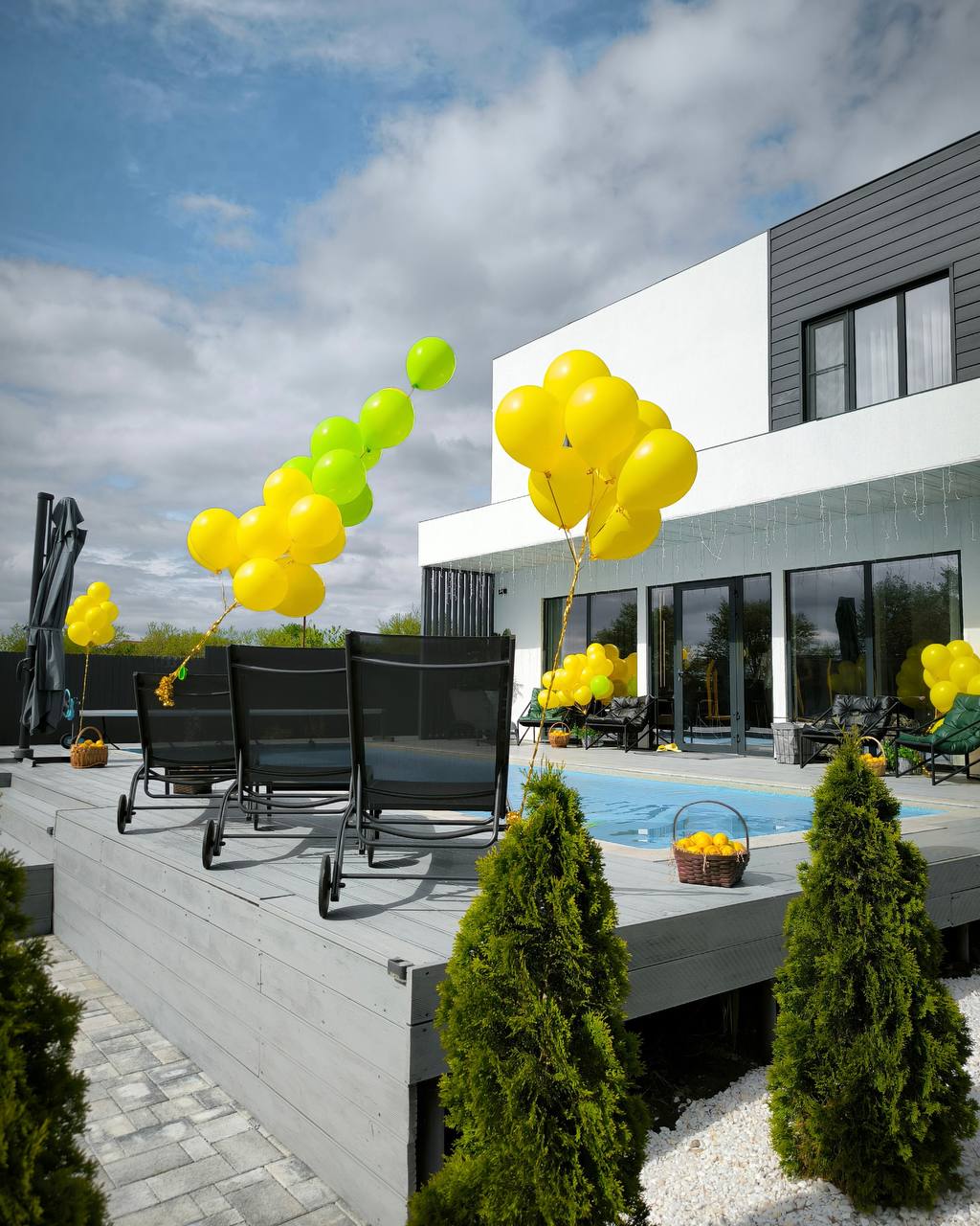 Фото Elephant Homd