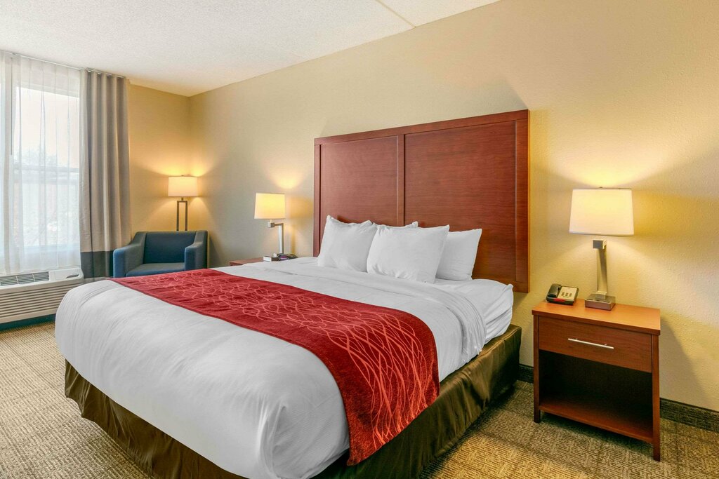 Hotel Comfort Inn & Suites Nashville Franklin Cool Springs, Franklin, photo