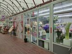 Alfa flowers (Manas Street, 53А), flower shop