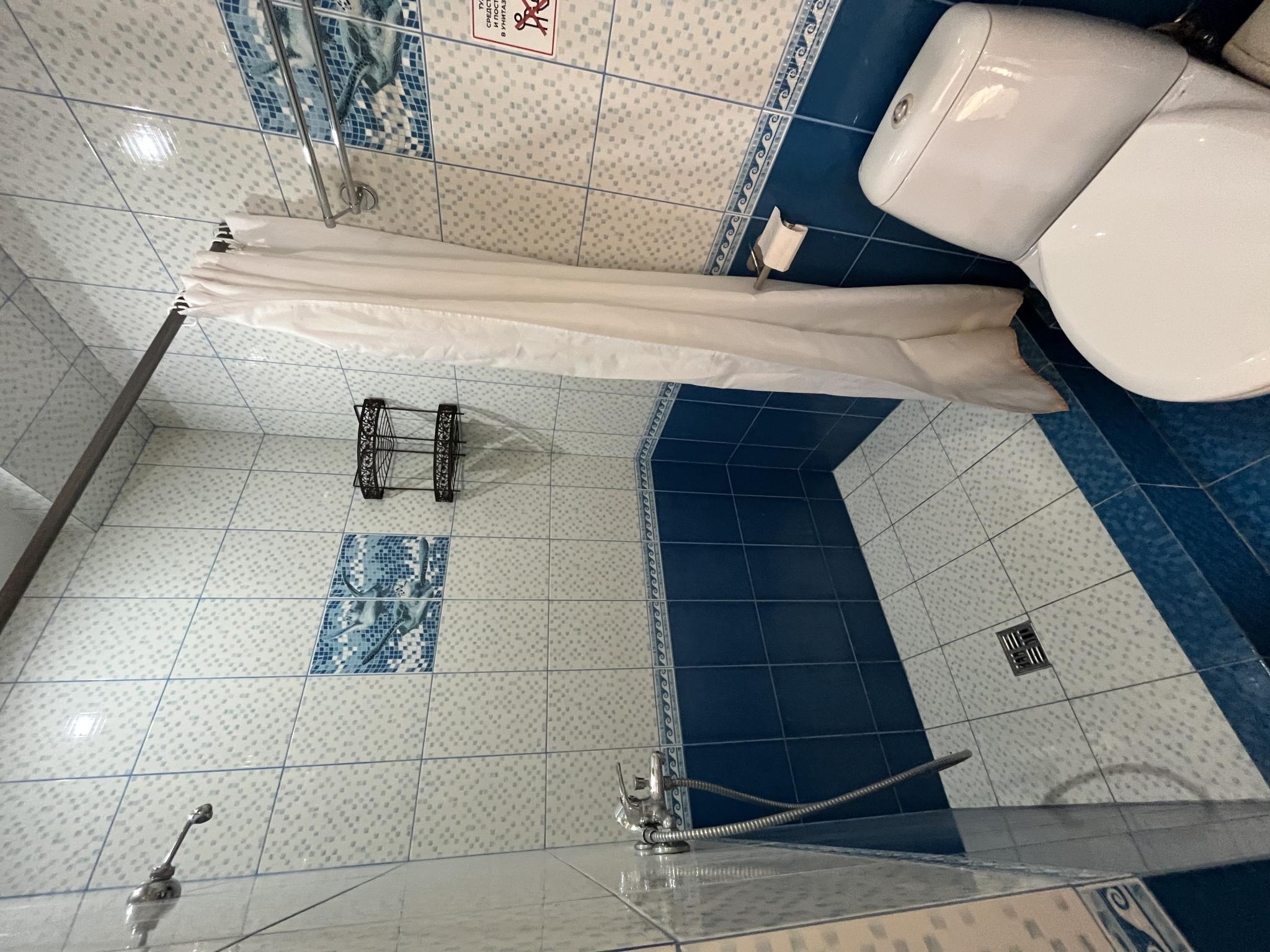 Фото Магнолия