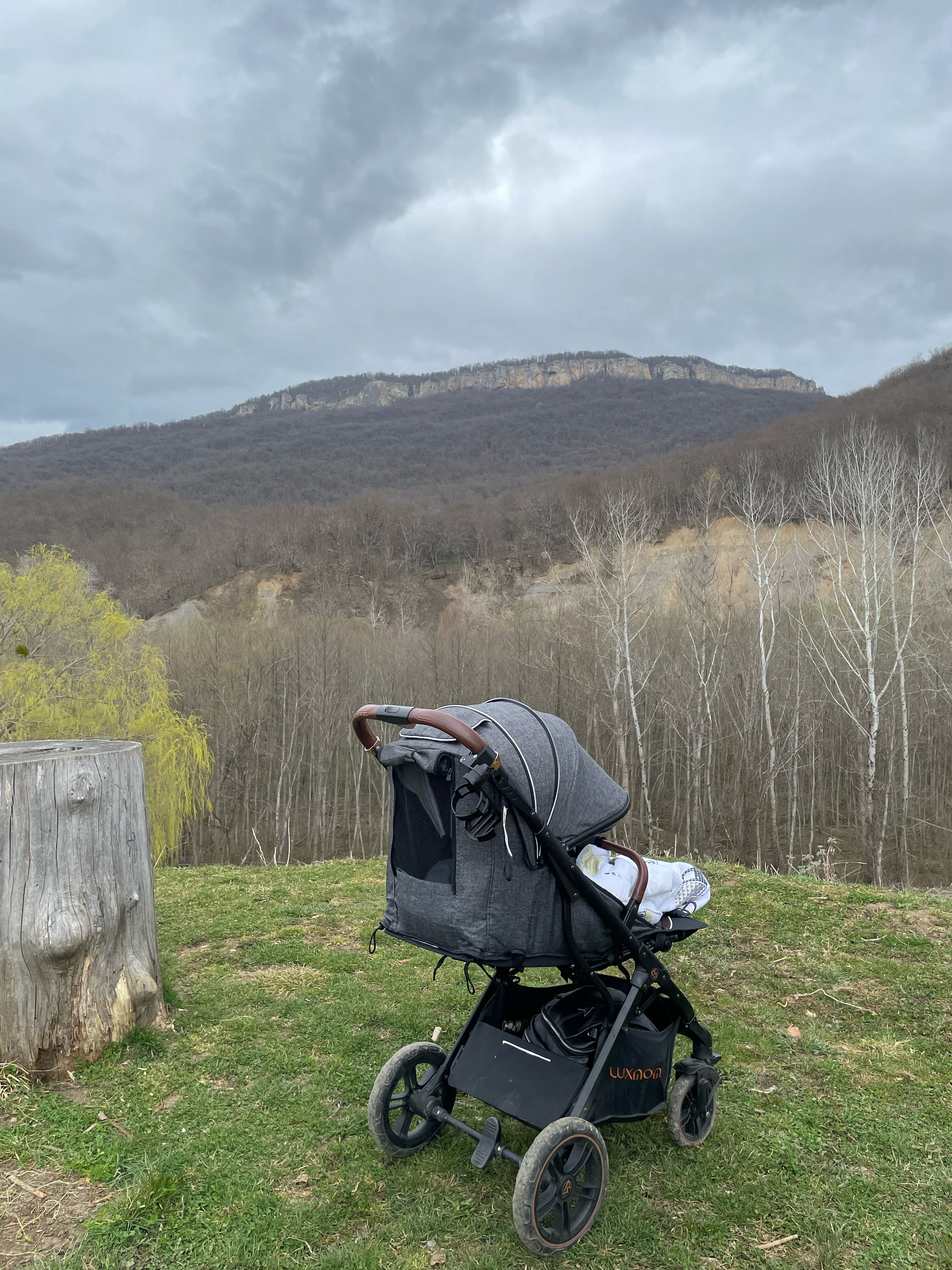 Фото Два Брата