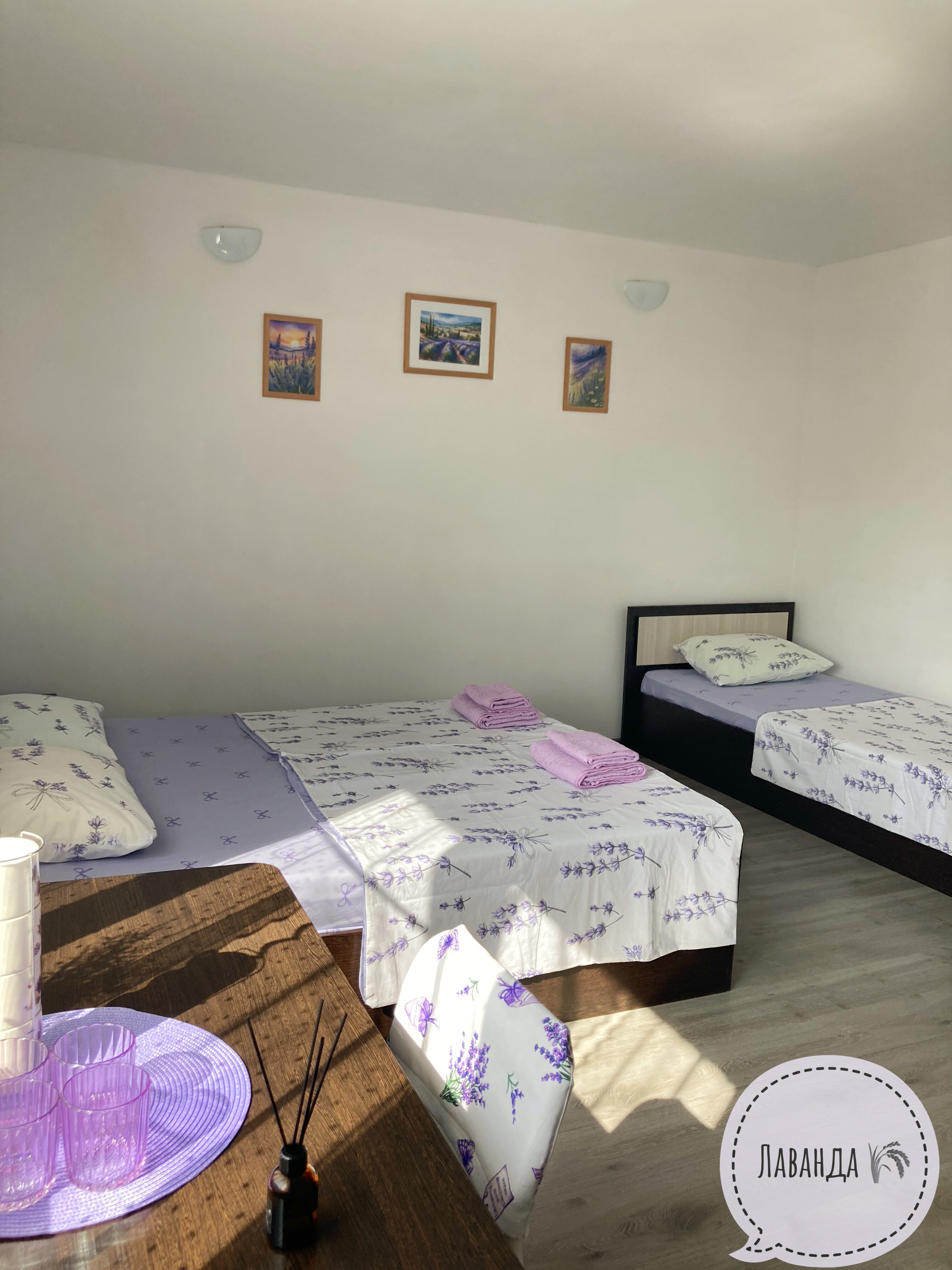 Фото Лаванда