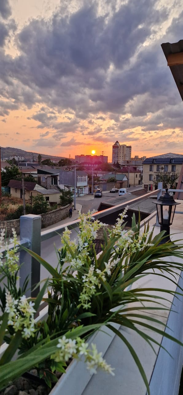 Фото Гранат