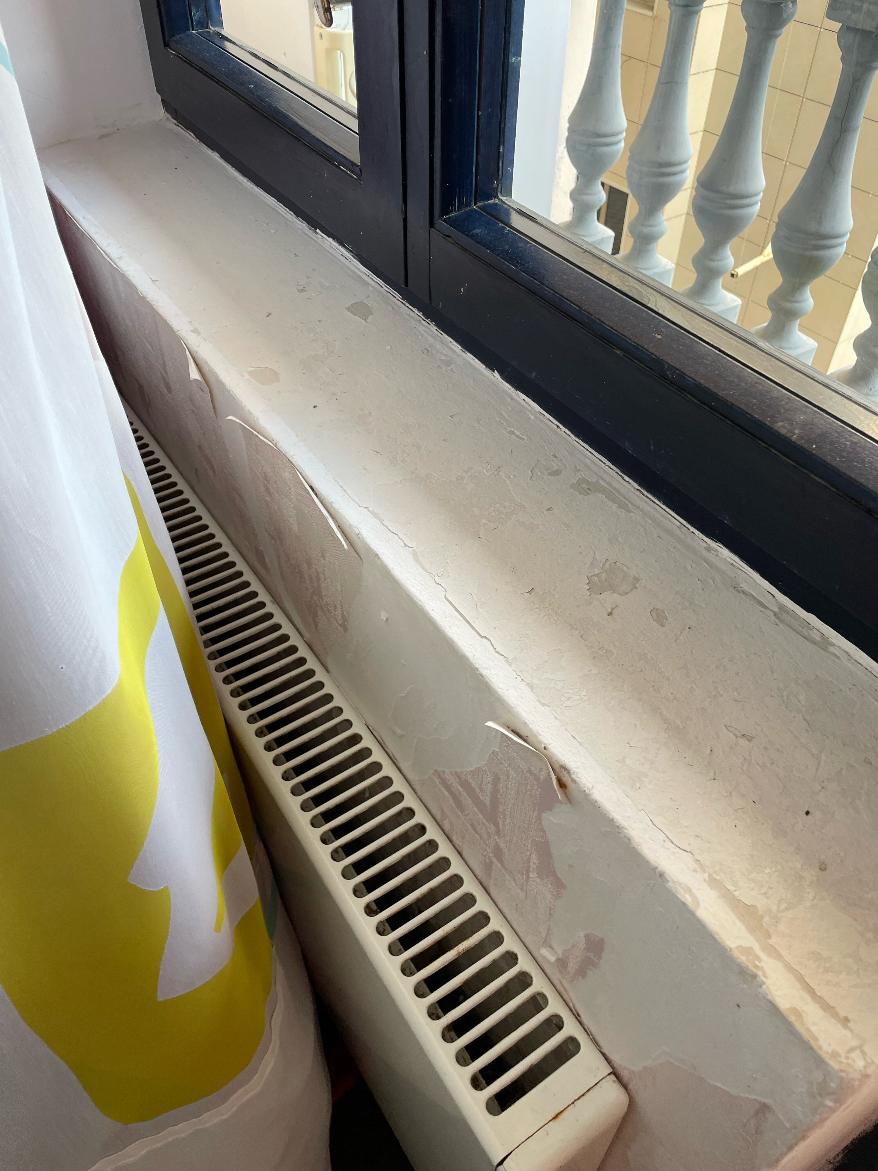 Фото Морская звезда