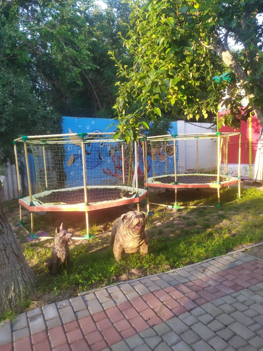 Фото Одиссей