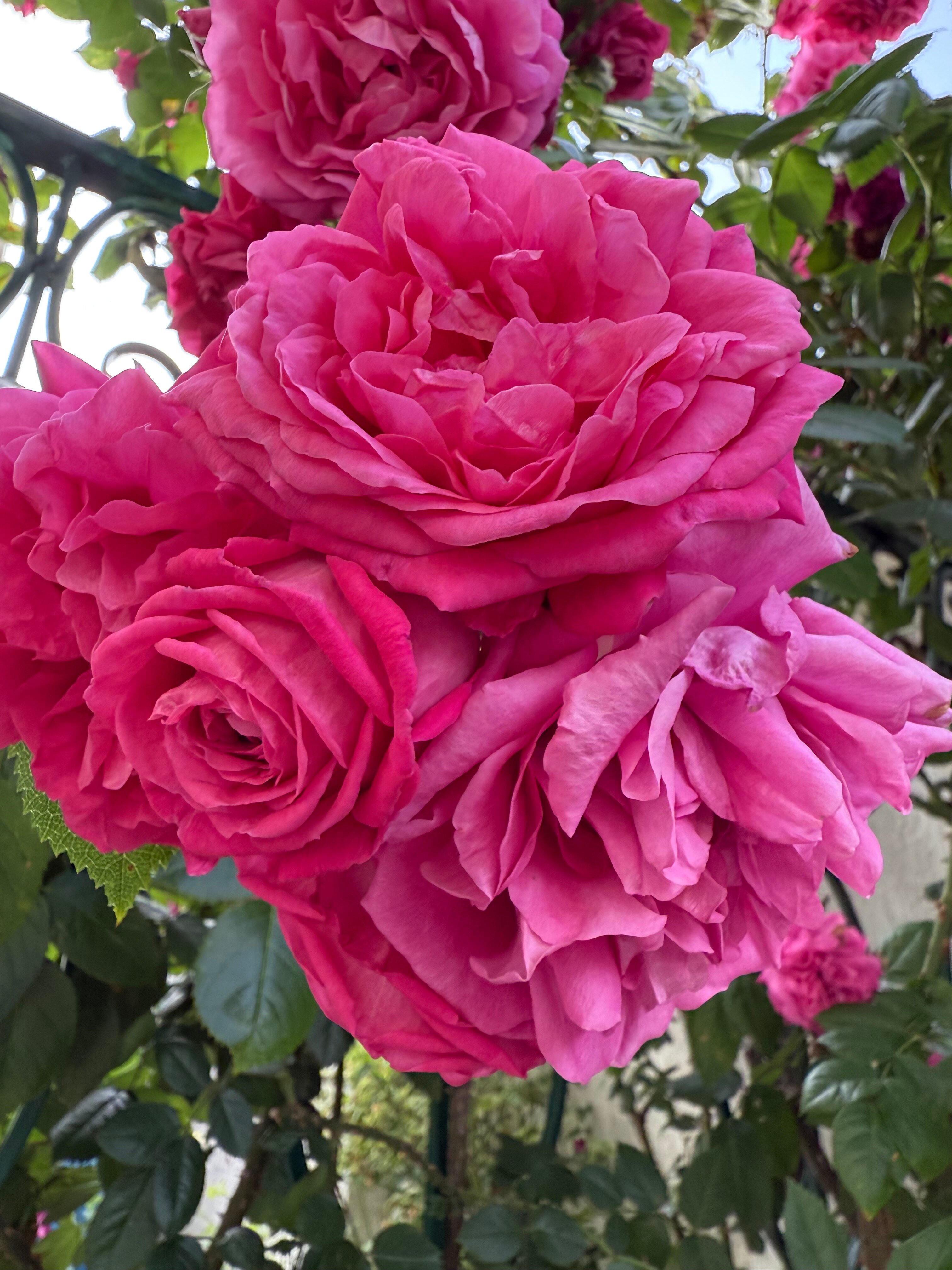 Фото Вилла Натали