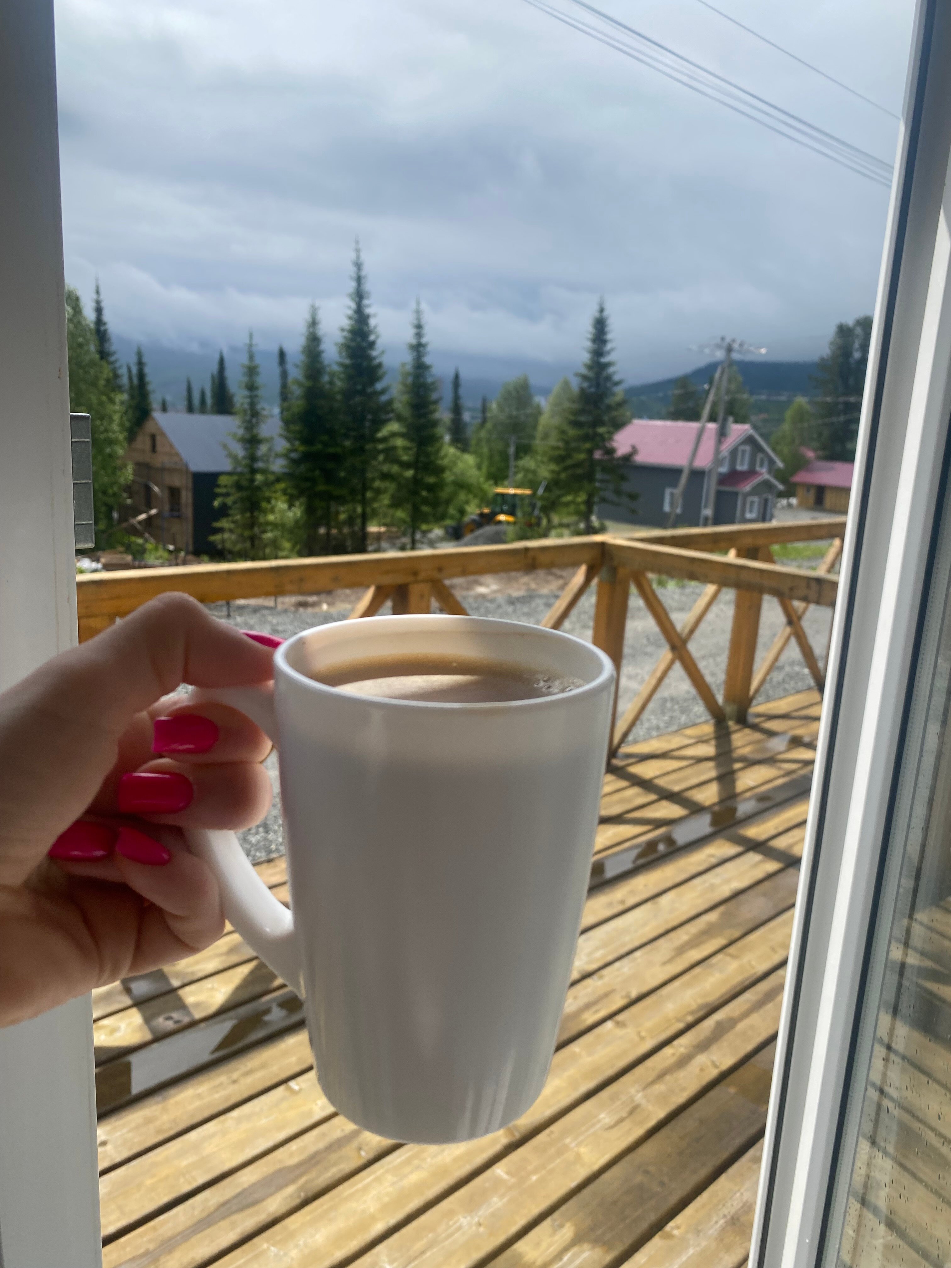 Фото Еловый лис