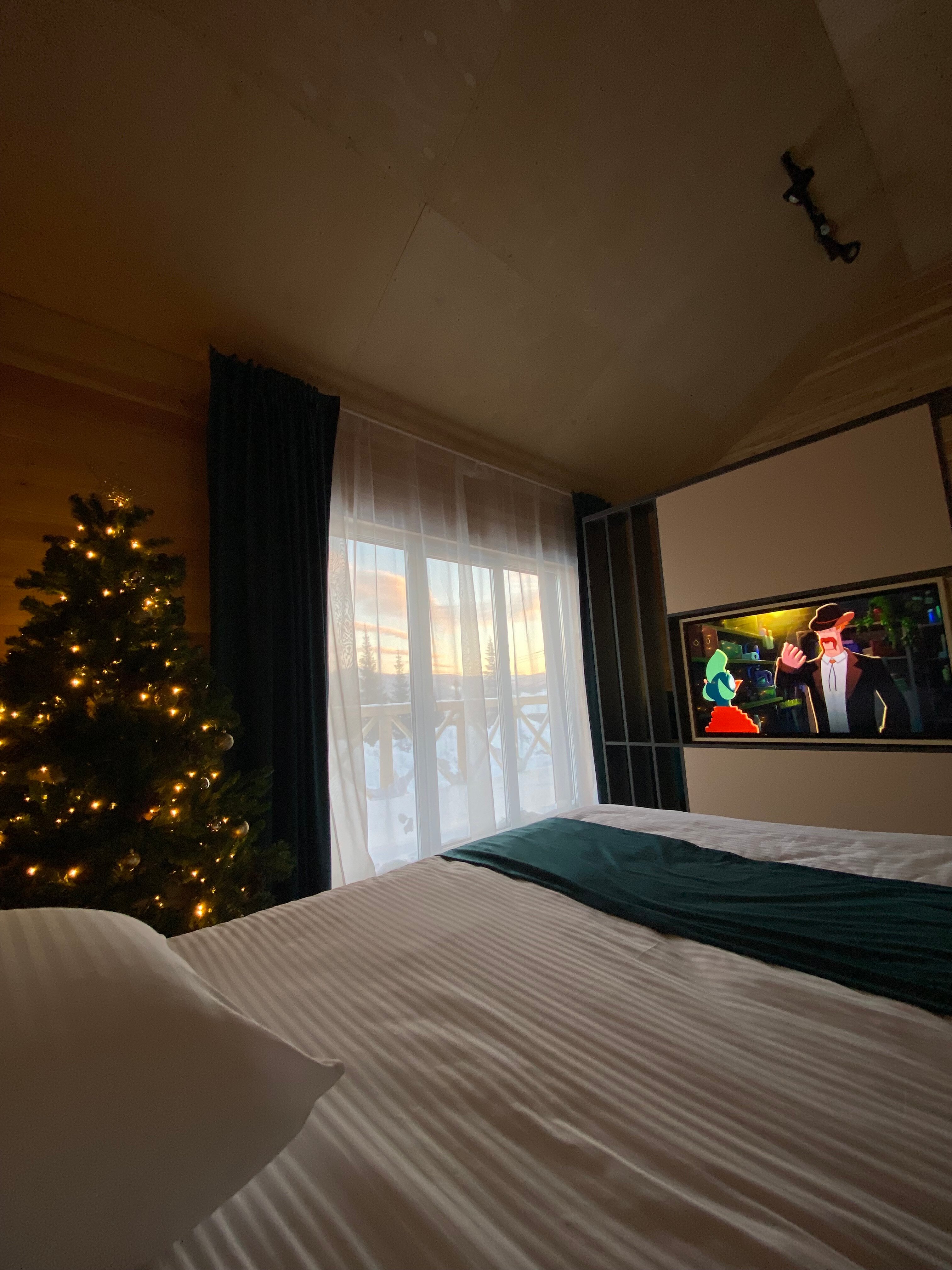 Фото Еловый лис