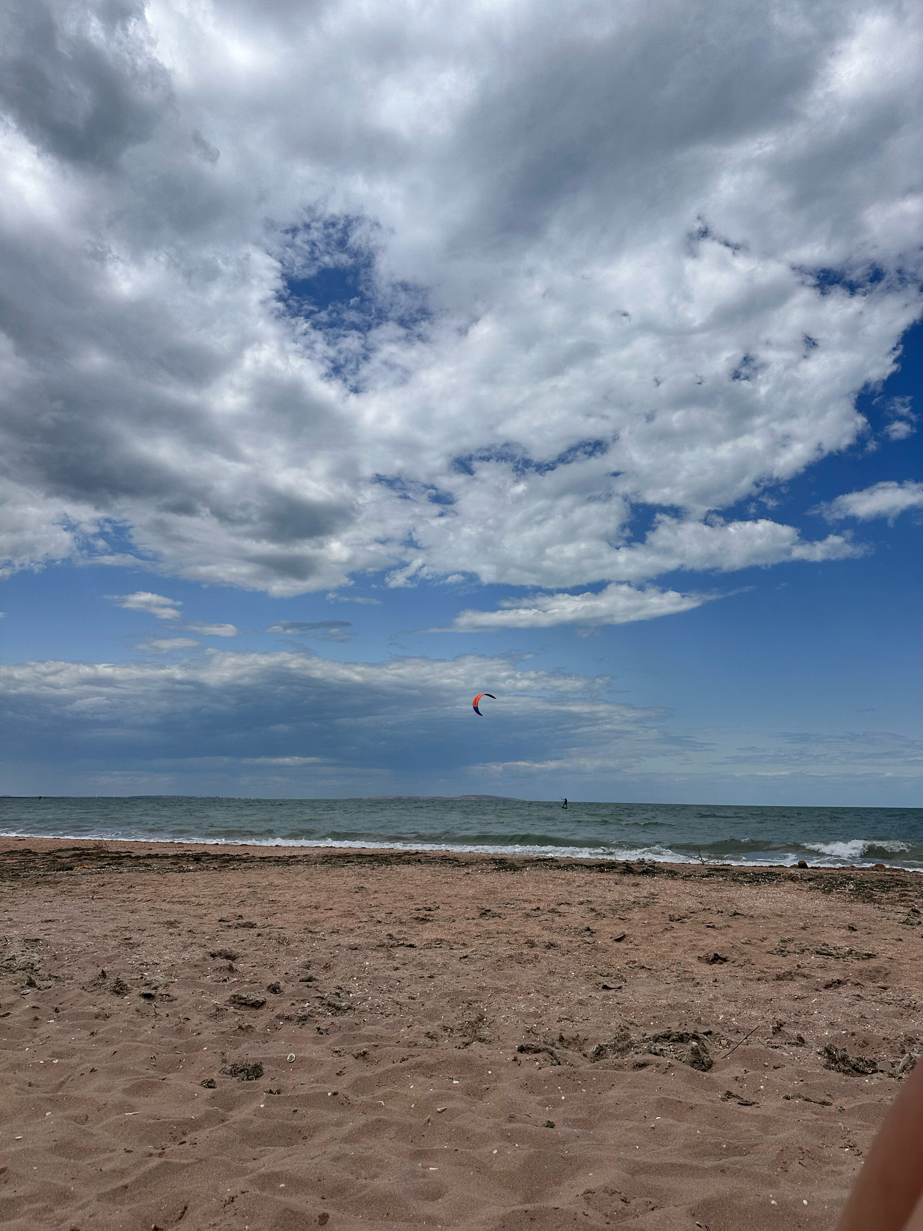 Фото Альбатрос