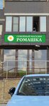 Ромашка (kvartal Troitskiy, zhiloy massiv Olimpiyskiy, 12) ، محل بقالة