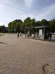 Chudintseva Street (Velikiy Novgorod, Sofiyskaya Side District, Chudintseva Street), public transport stop