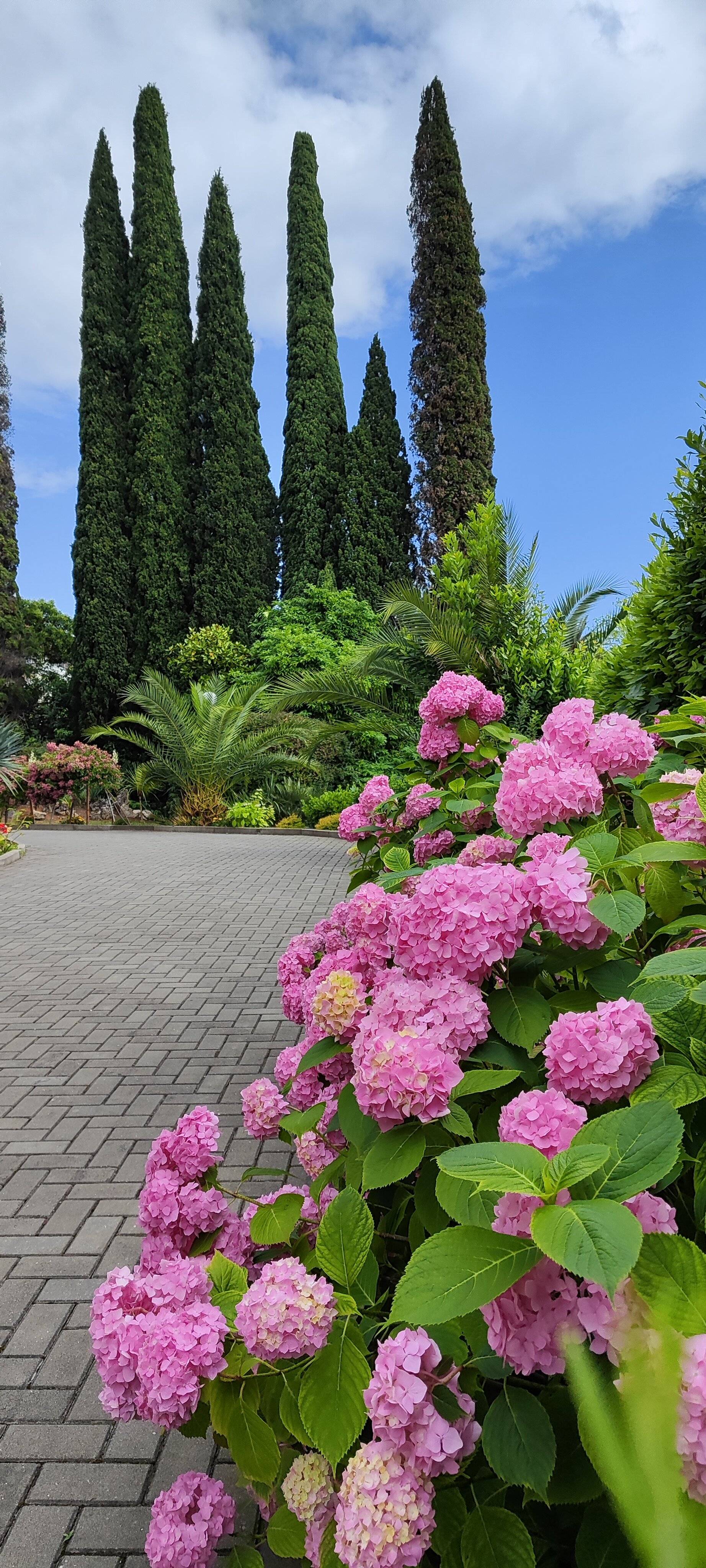 Фото Old Gagra Hotel