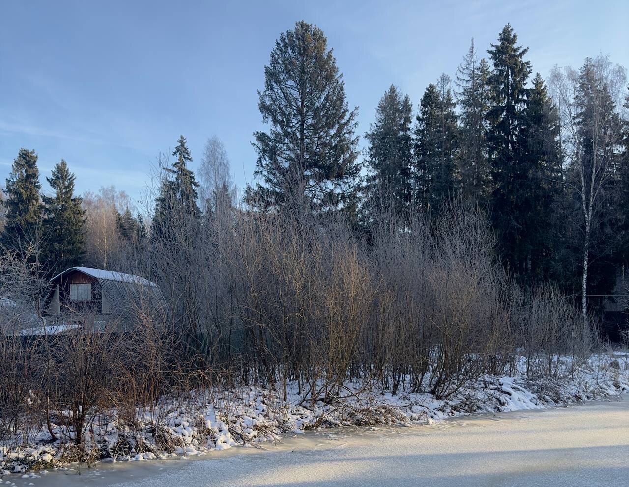 Фото Матрешкино