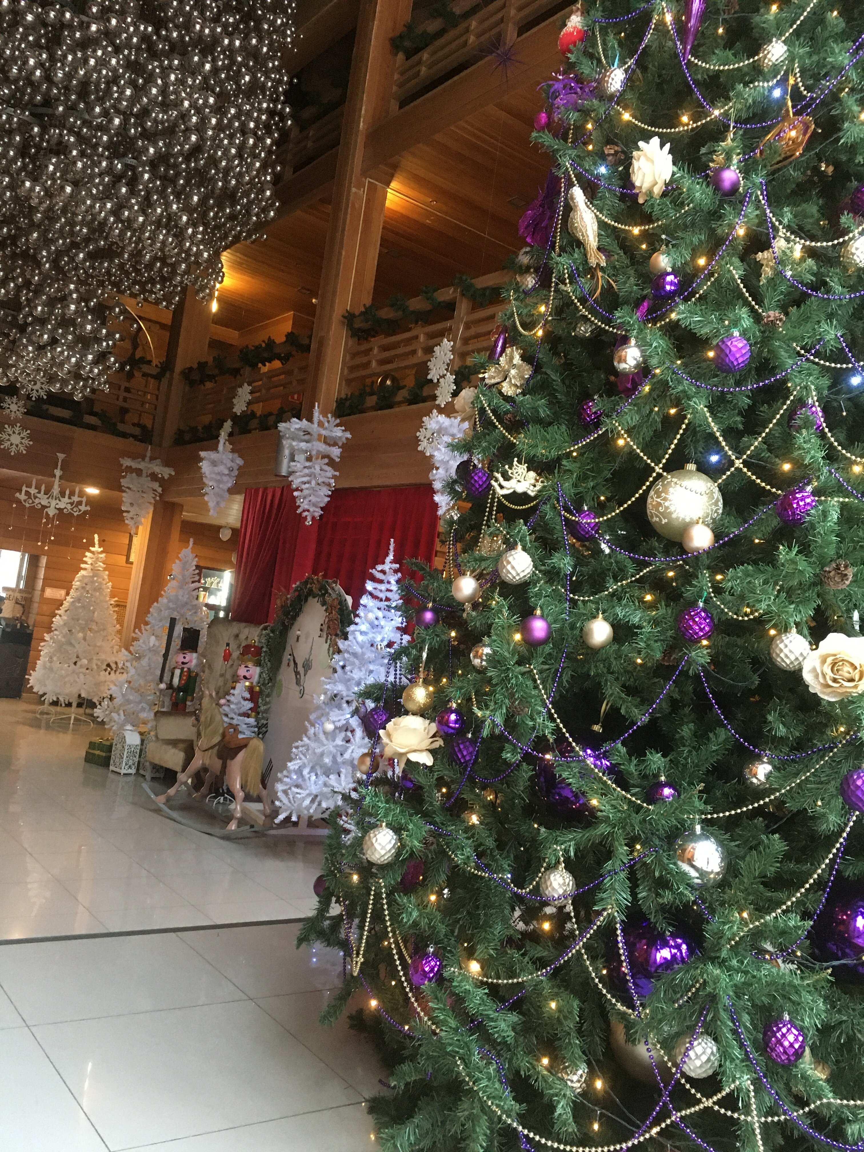 Фото Романов лес