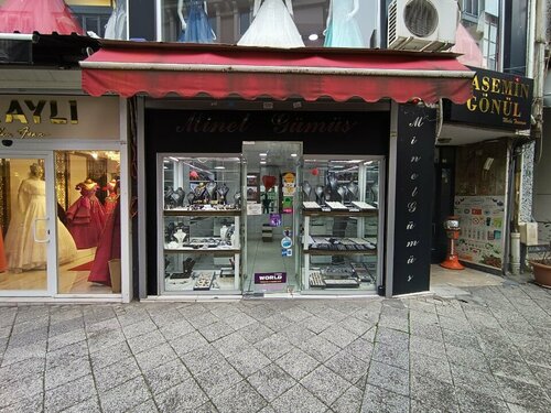 Minel Gümüş Fotoğraf 1