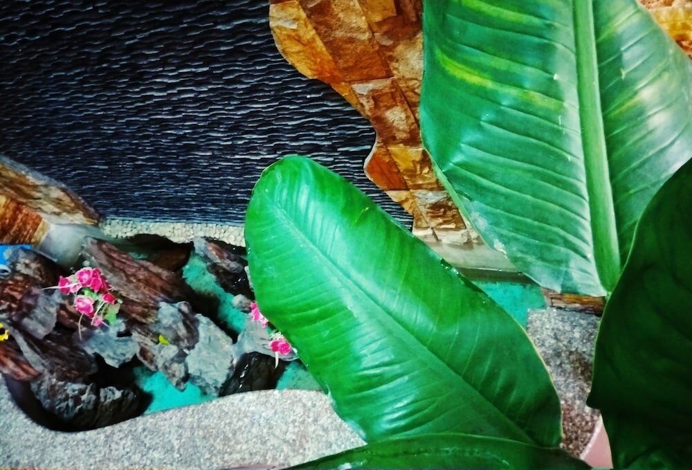 Фото Win's Homestay - Hostel