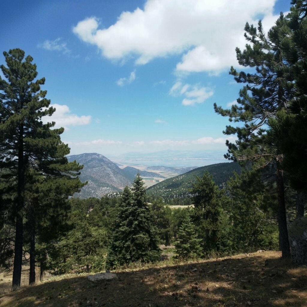 Embassy, consulate Trnc Antalya Consulate General, Antalya, photo