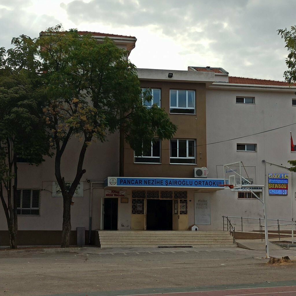 School Pancar Nezihe Sairoglu Middle School, Torbali, photo