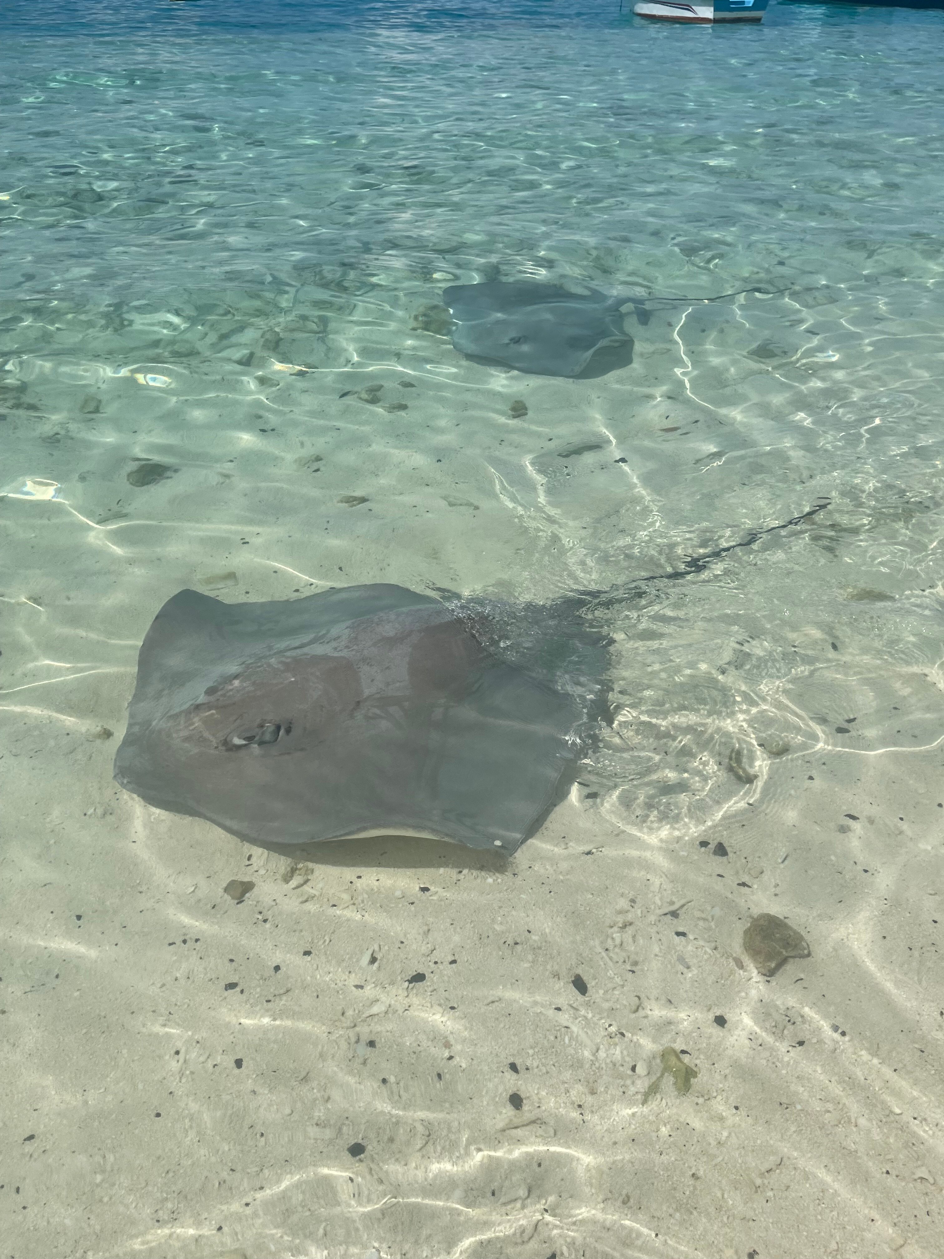 Фото Sands Grand Hotel