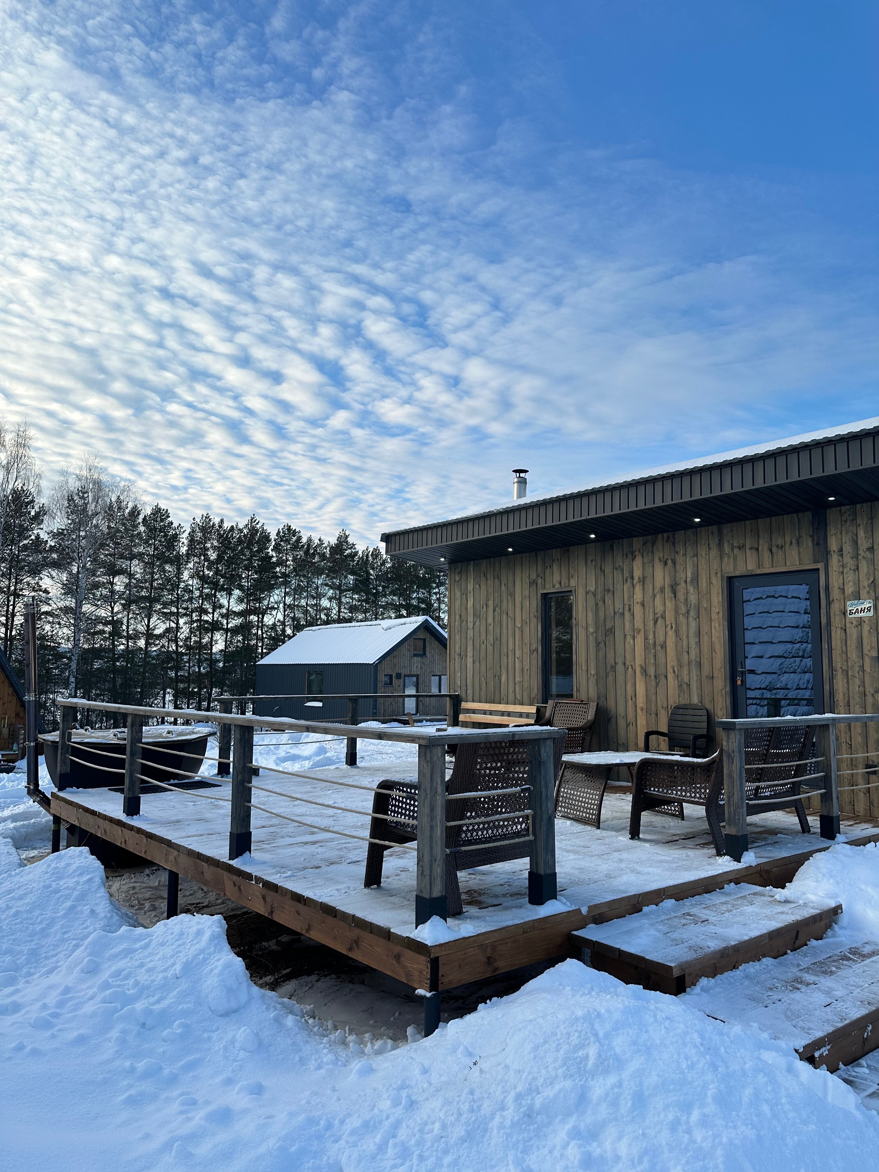 Фото Караси