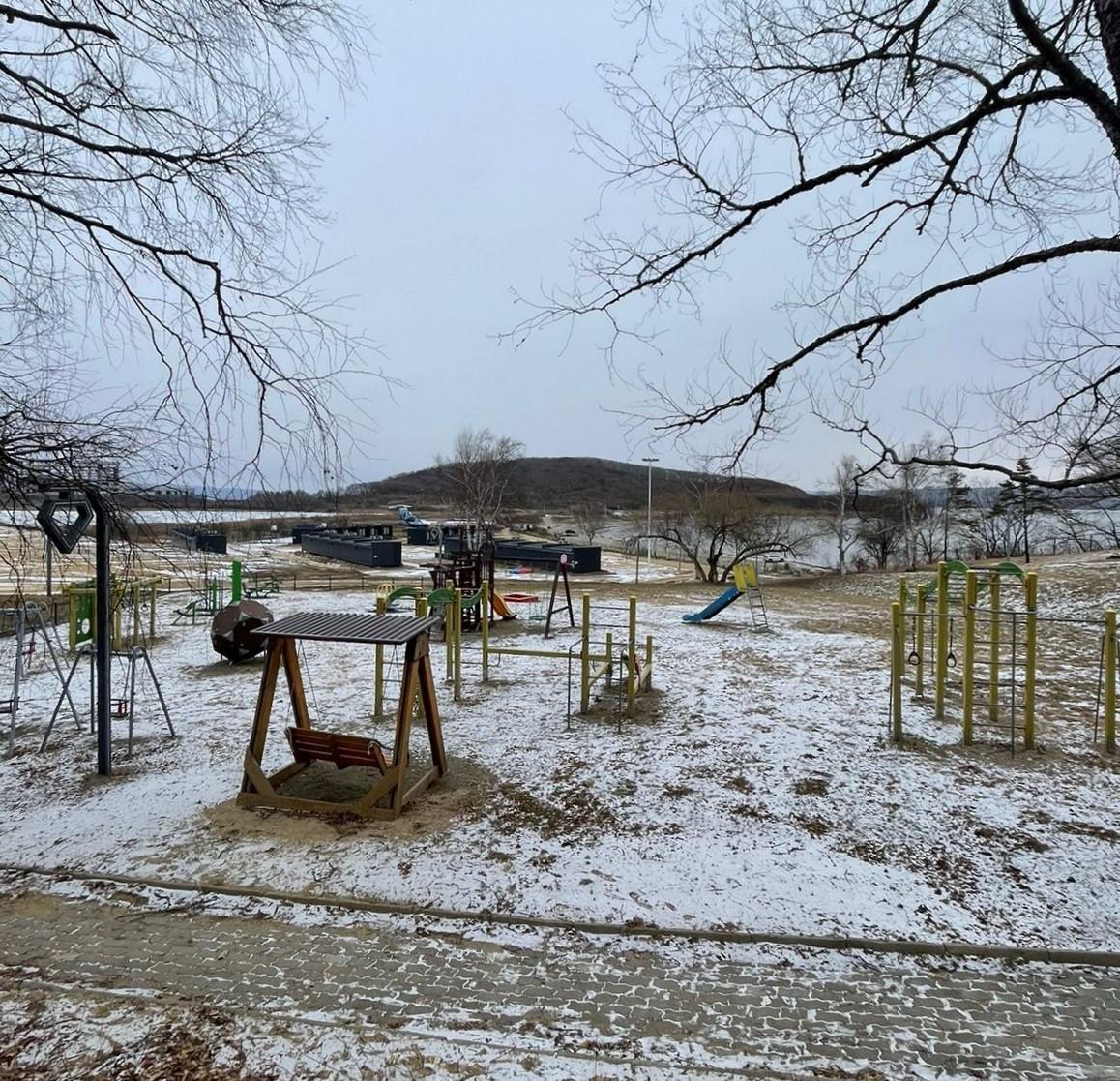 Фото Лазурная черепаха