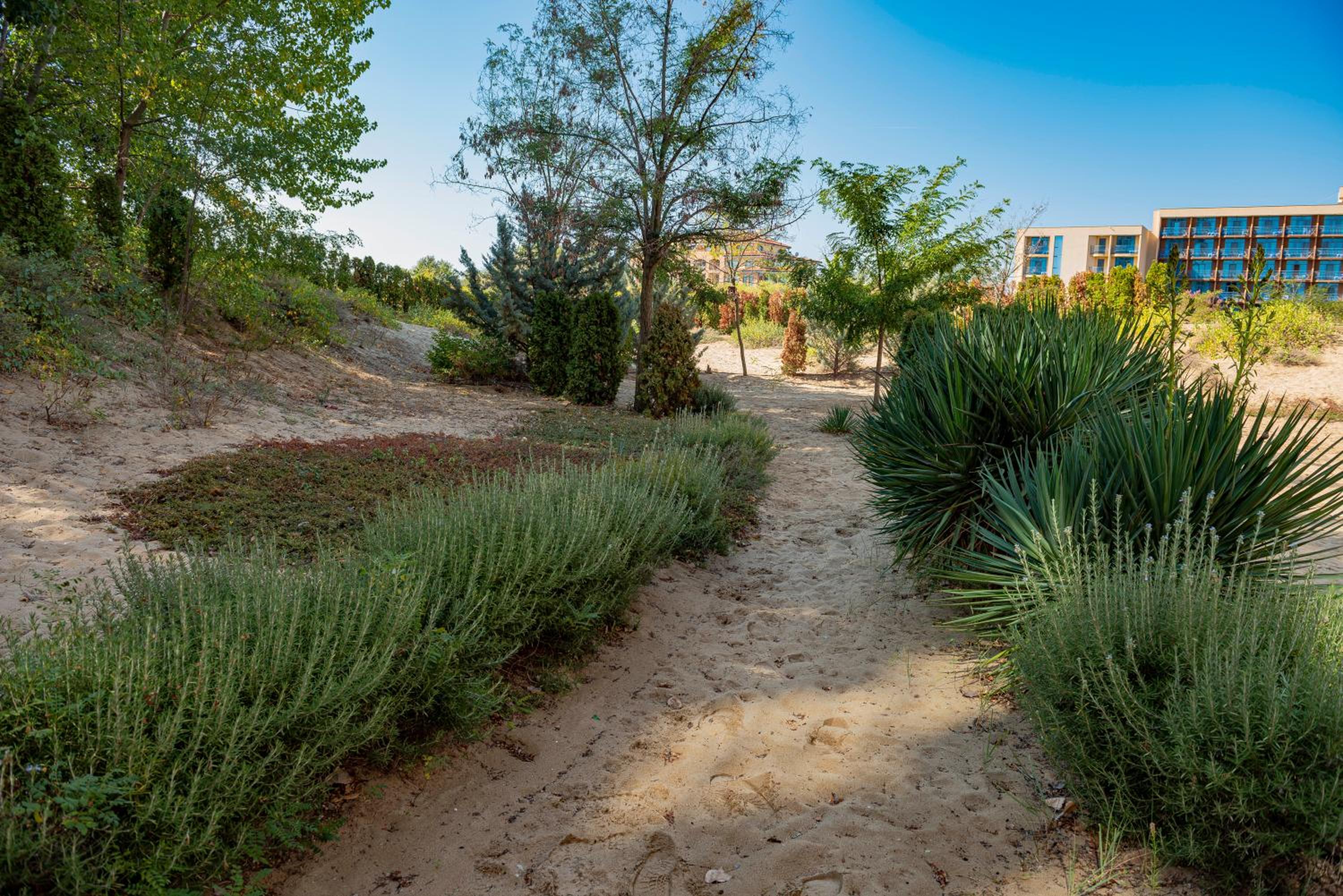 Фото Menada Dune Residence Apartments