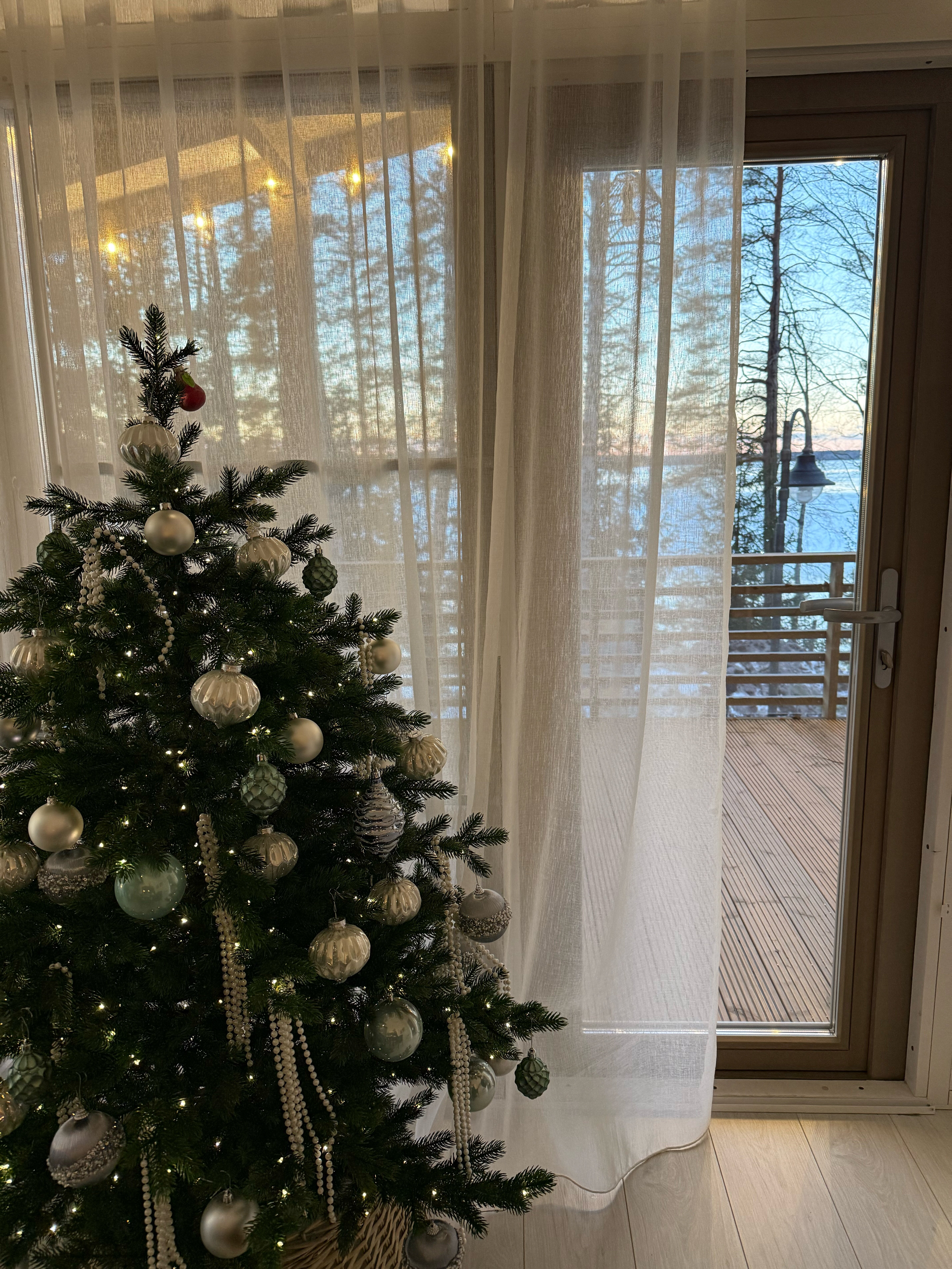 Фото Вереск