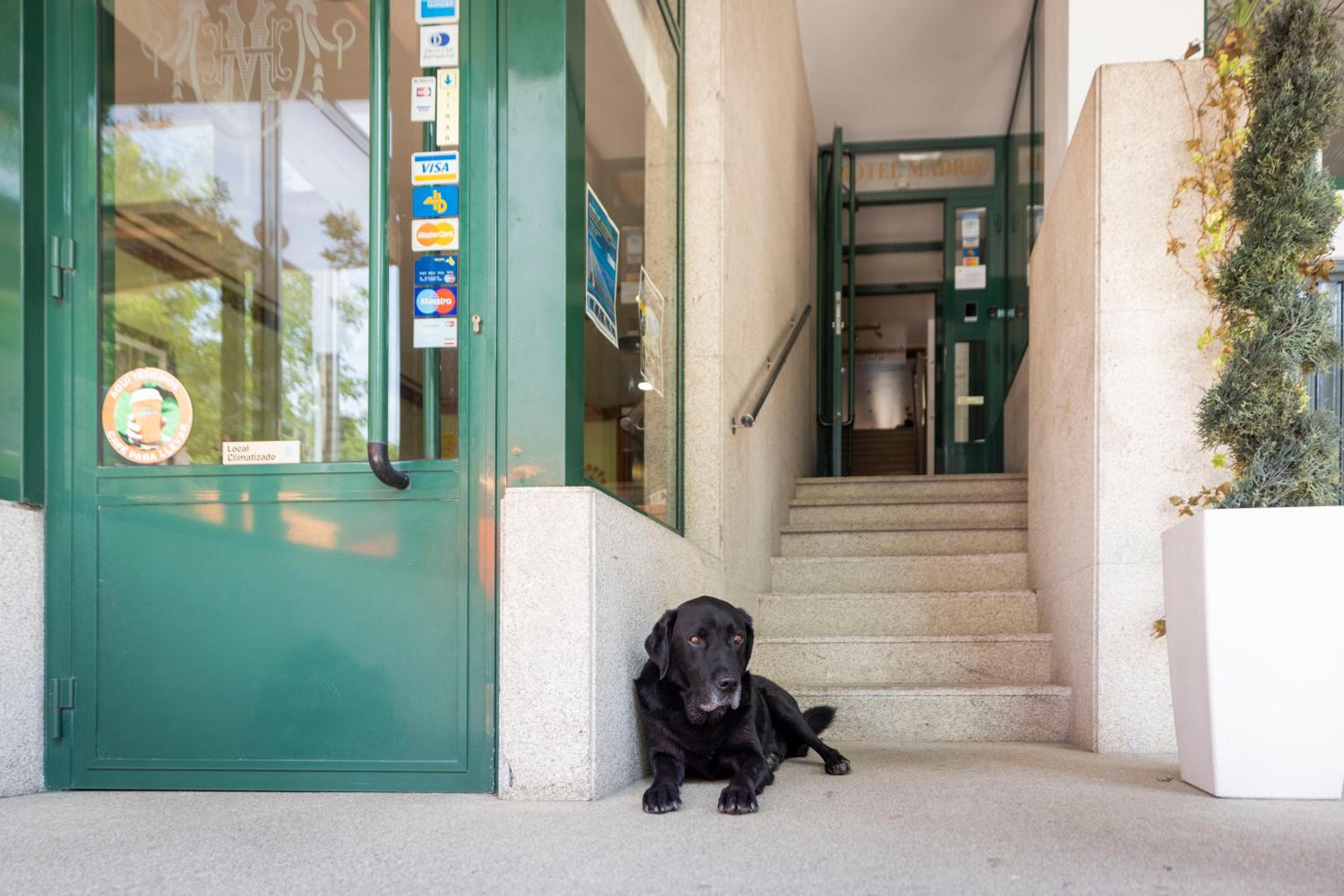 Фото Hotel Madrid