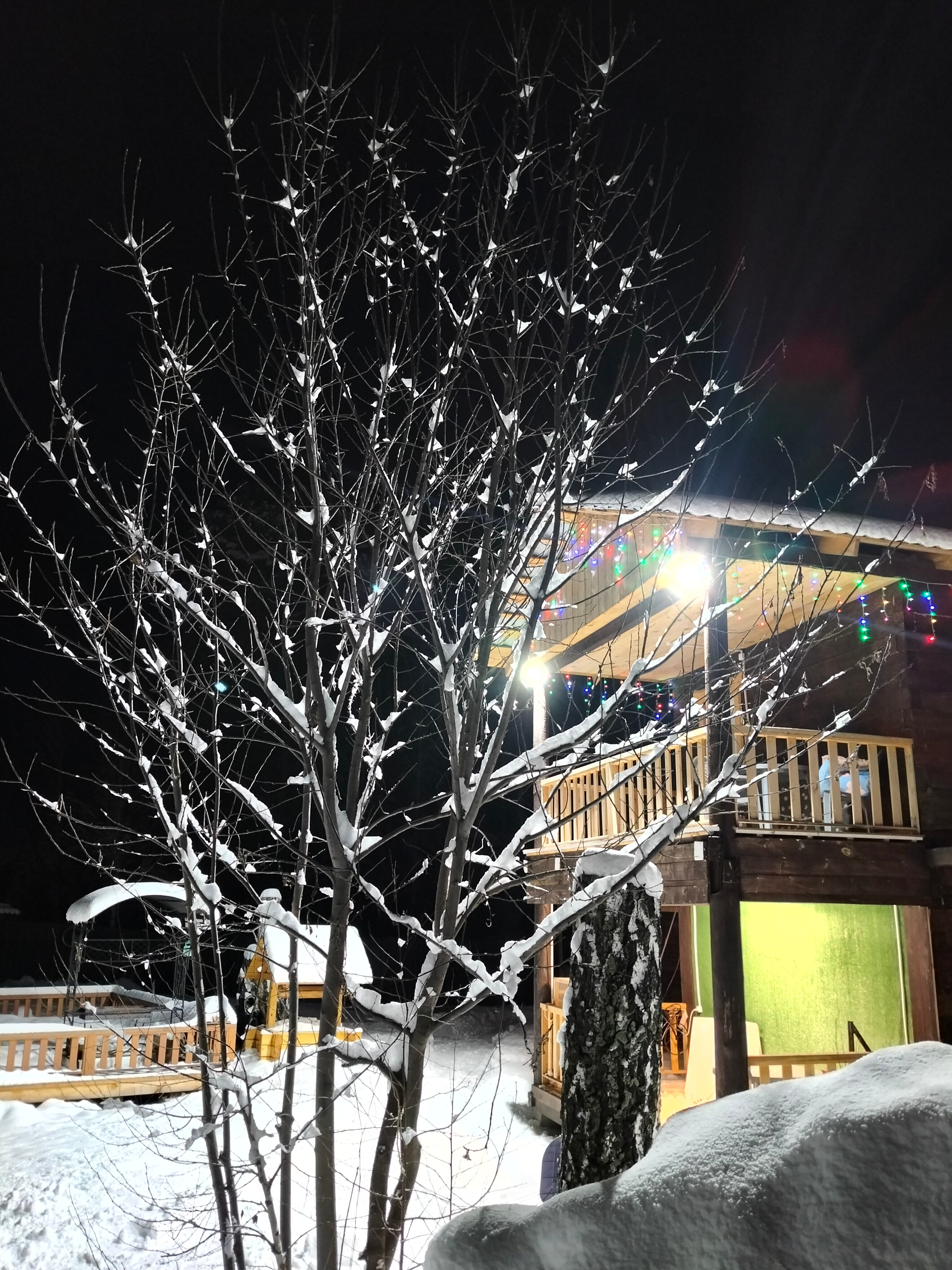 Фото Легенда Алтая