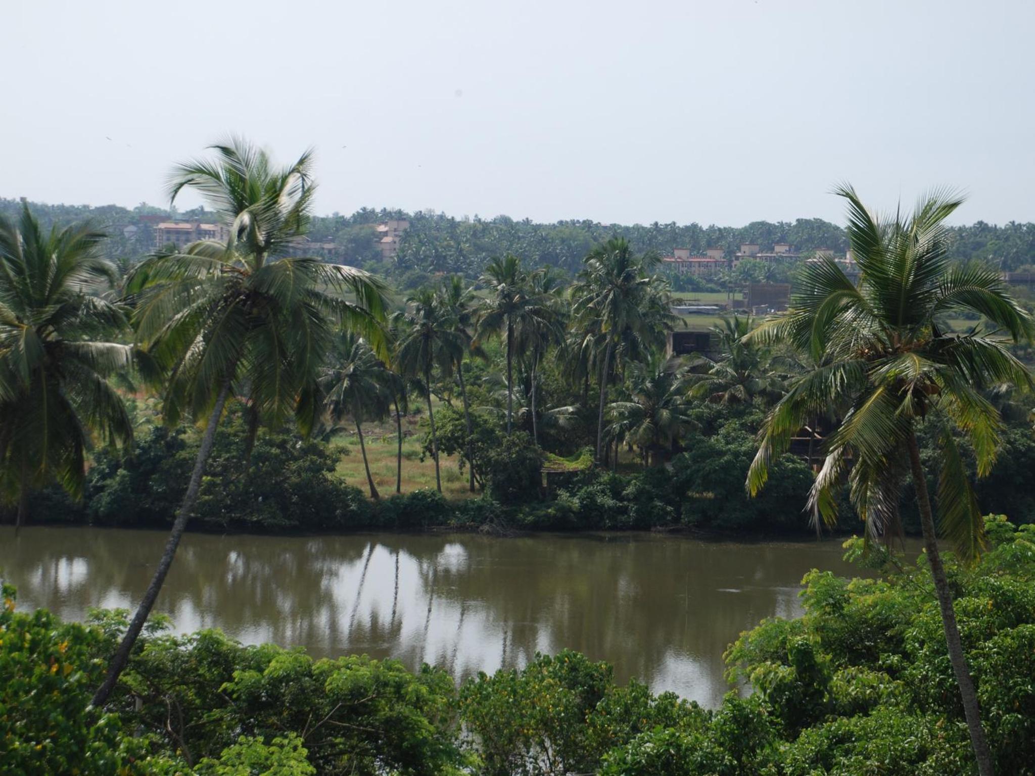 Фото La Vida Residency Suites