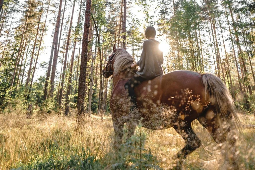 Фото Лосиный ключ