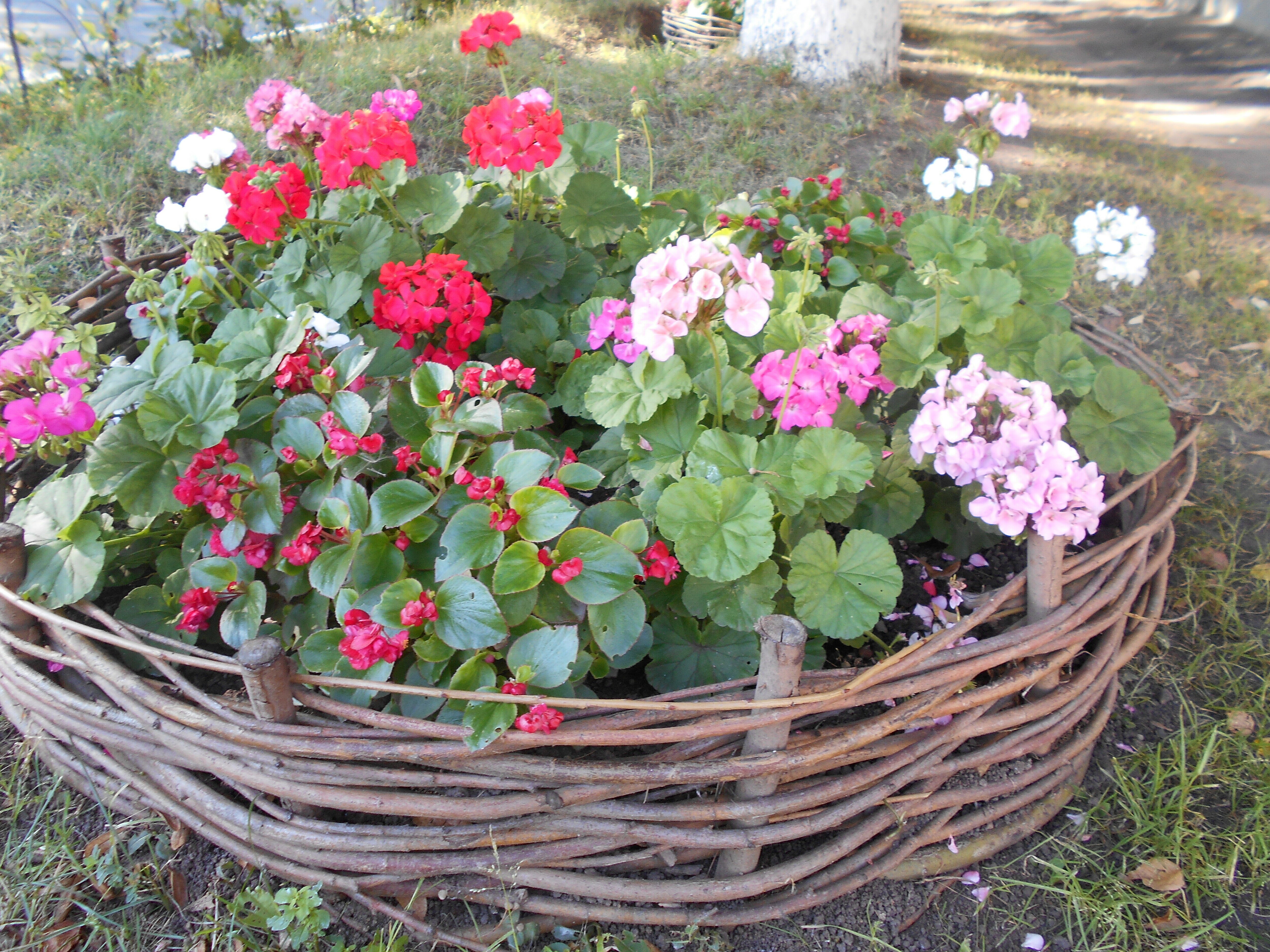 Фото Купеческий на Ленина